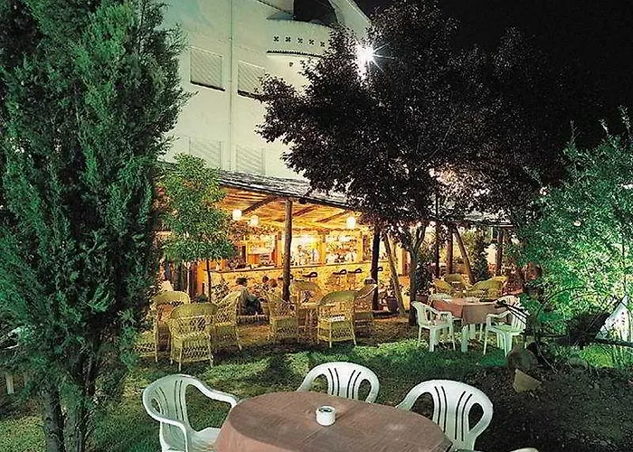 Checkin Camino De 4*