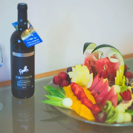 Hotel Checkin Camino De